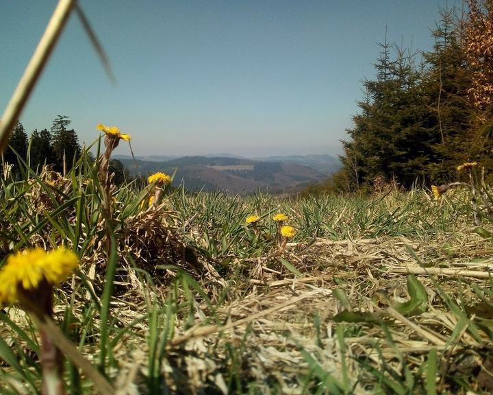 Hochheide Huette